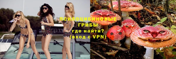 гидра Беломорск