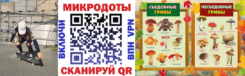 kraken маркетплейс  Кропоткин  Галлюциногенные грибы Psilocybine cubensis 